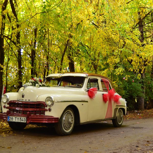 1949 MODEL DODGE KİNGSWAY